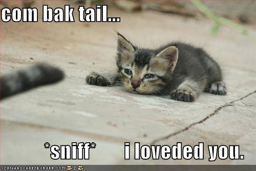 Com bak tail...