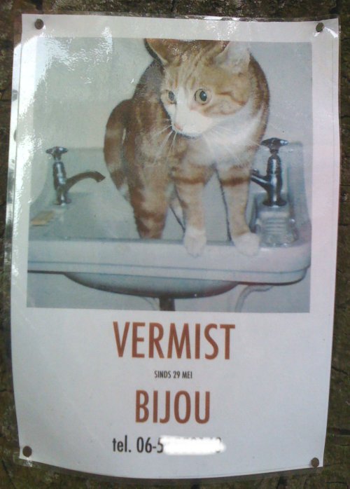 Vermist Bijou