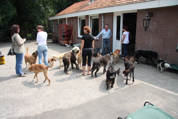 Rondleiding voor de visite