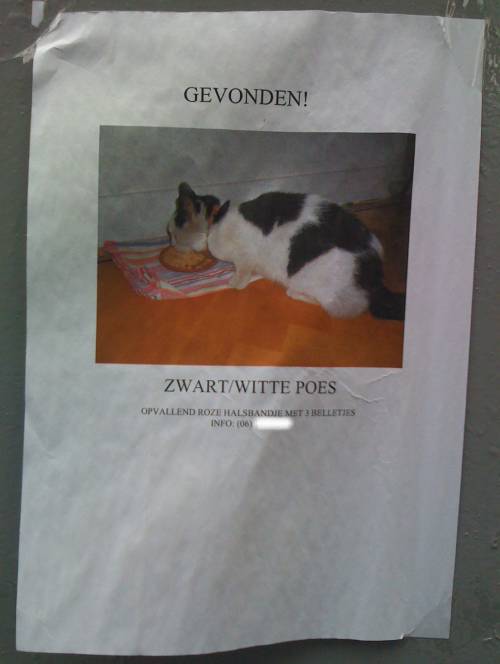 Gevonden: zwart/witte poes