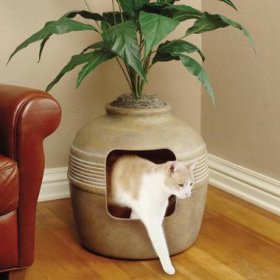Kattenbak in een pot