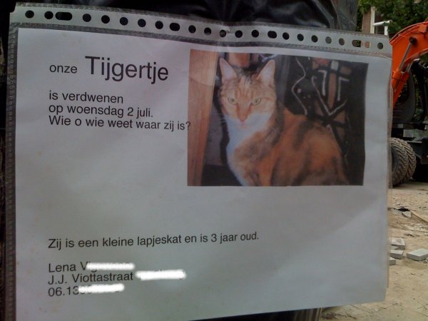 Tijgertje wordt vermist