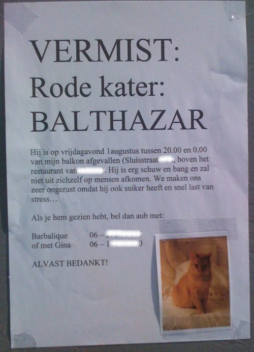 Vermist Balthazar de rode kater