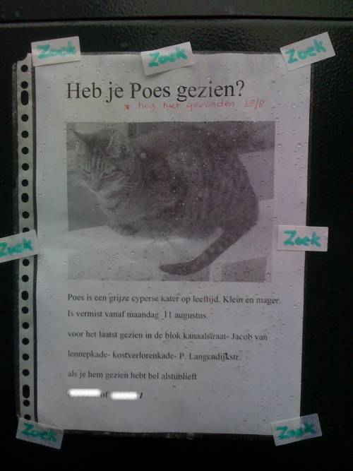 Heb je Poes gezien?