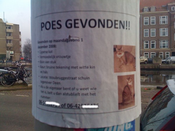 Poes Gevonden