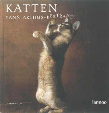 Een verzameling portretten van katten