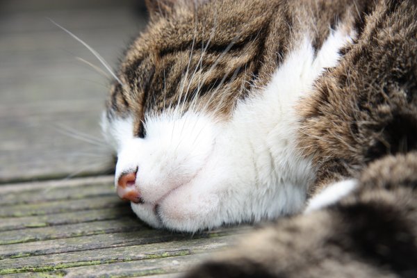 Buiten slapen is zoooo lekker