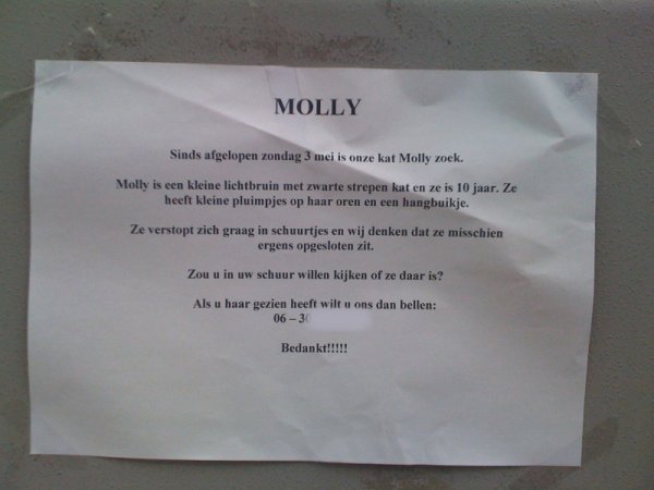 Molly wordt vermist