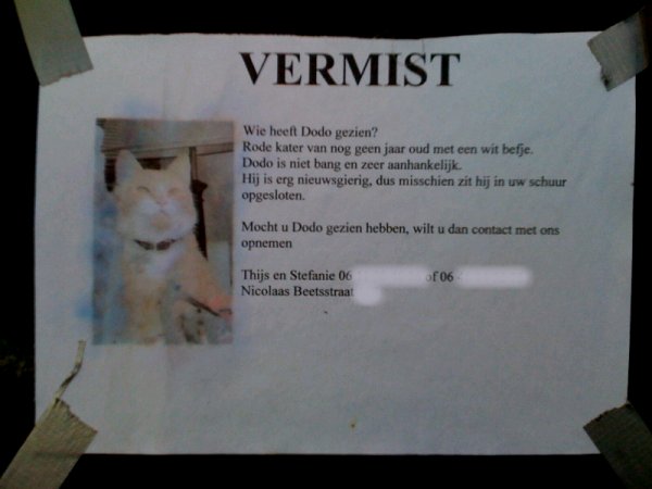 Dodo wordt vermist