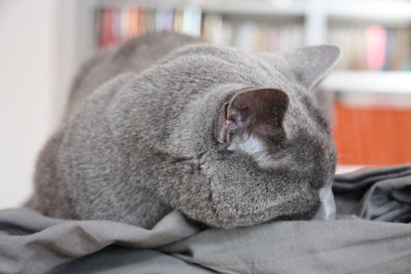 Slaapie doen