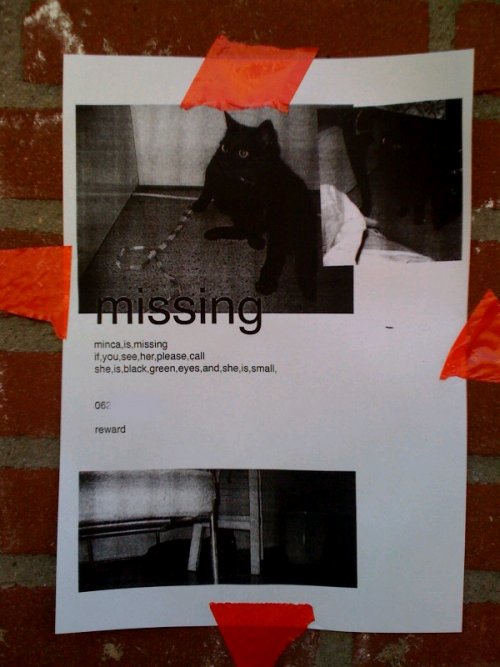 Minca is missing