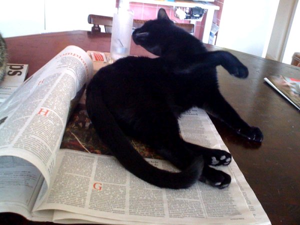 Tommy leest ook graag de krant