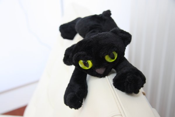 Manhatten Toy Black Cat