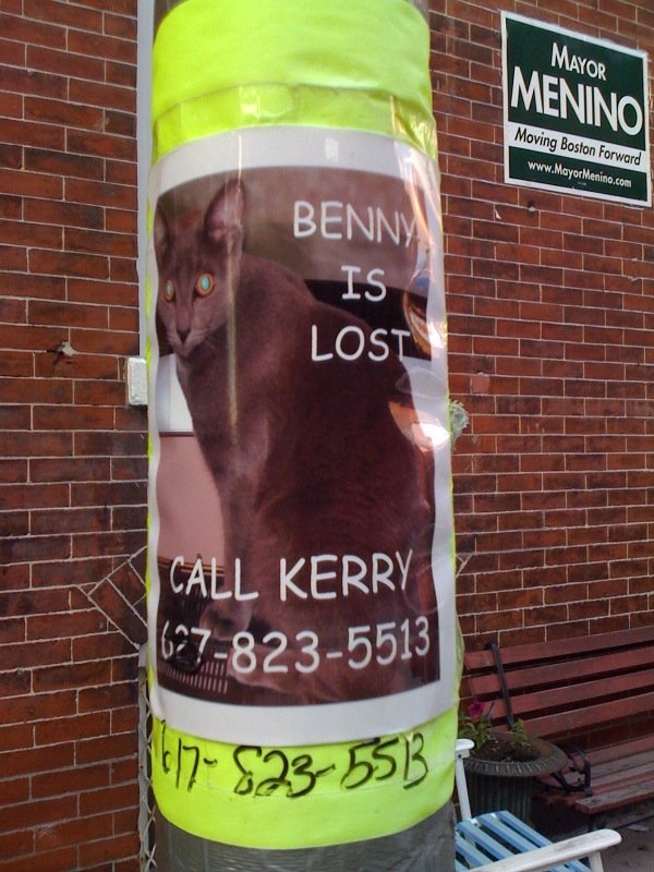 Benny is lost
