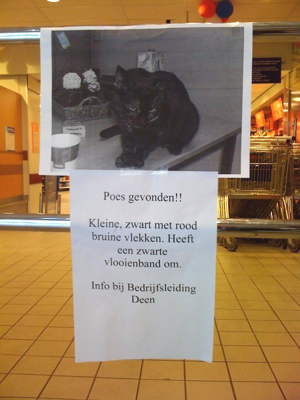 Poes gevonden