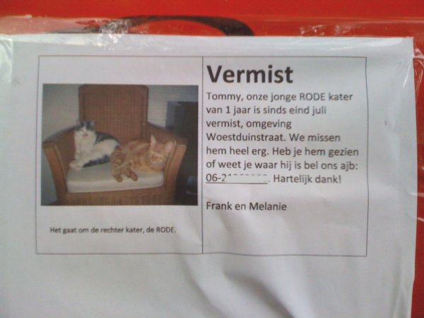 Het gaat om de rechter kater