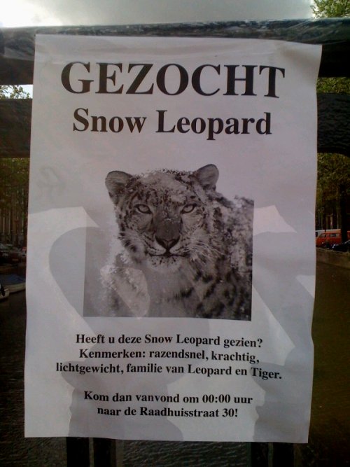 Wanted: Snow Leopard