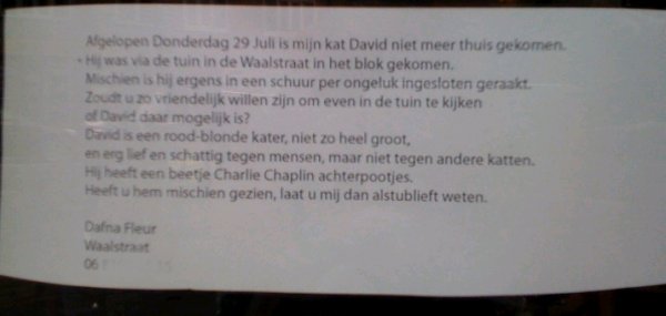 David wordt vermist