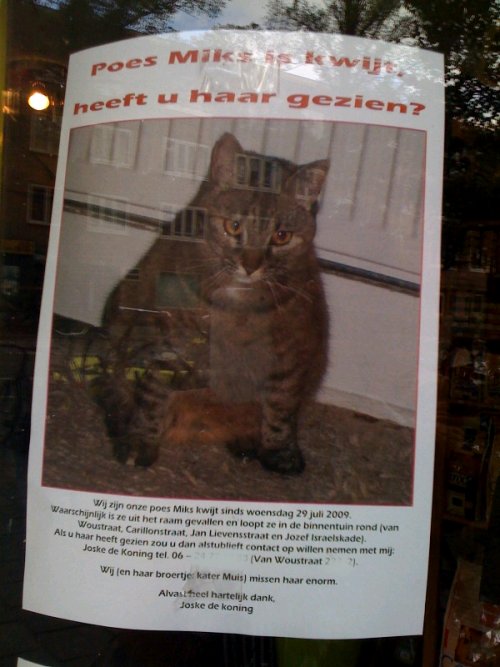 Heeft u Poes Mike gezien?