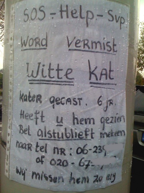 Witte kater wordt vermist