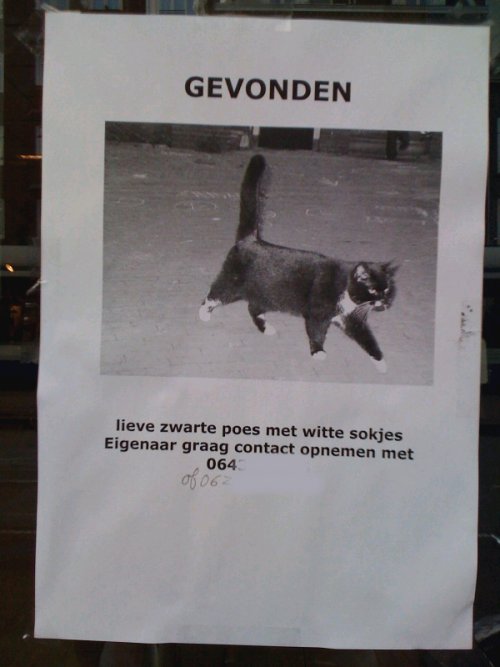 Iemand moet deze lieve poes toch missen?