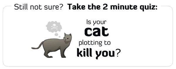 Is YOUR cat plotting to kill you?