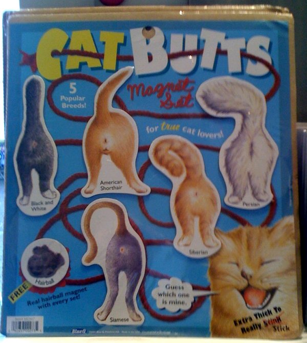 Cat Butts Magnet Set