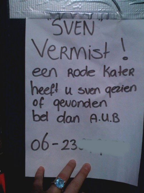 Sven de rode kater wordt vermist