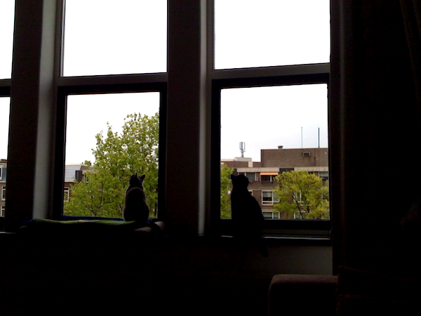 Samen in de vensterbank naar de meeuwen kijken