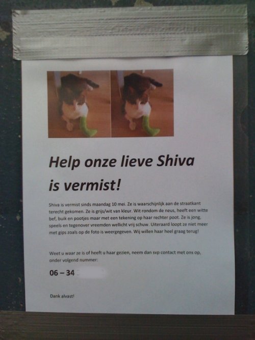 Shiva wordt vermist