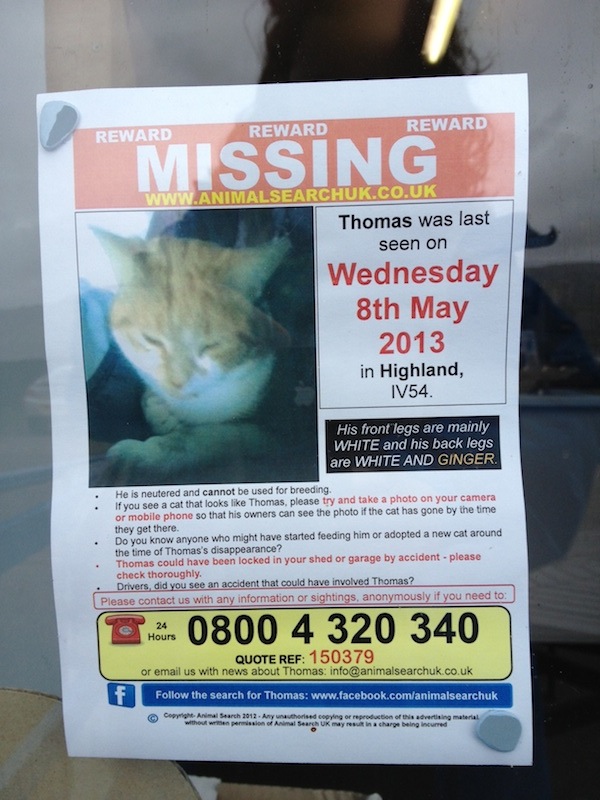 Thomas is missing