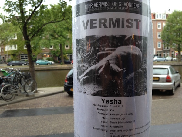 Yasha wordt vermist