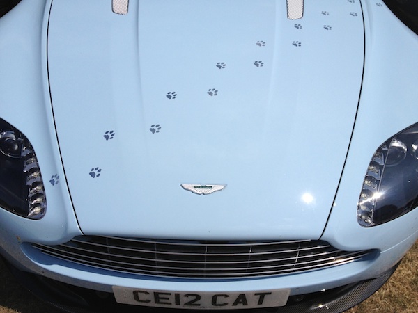 Aston Martin V8 Vantage S in Huckleberry Blue