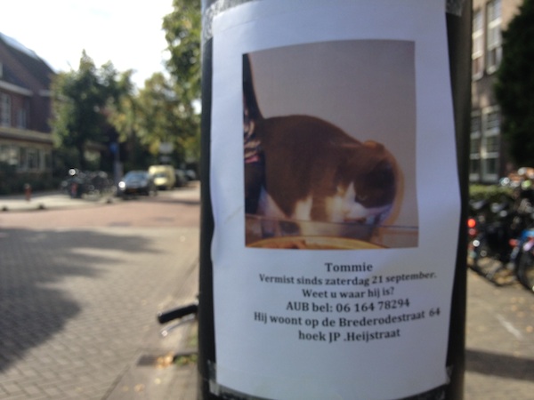 Tommie wordt vermist