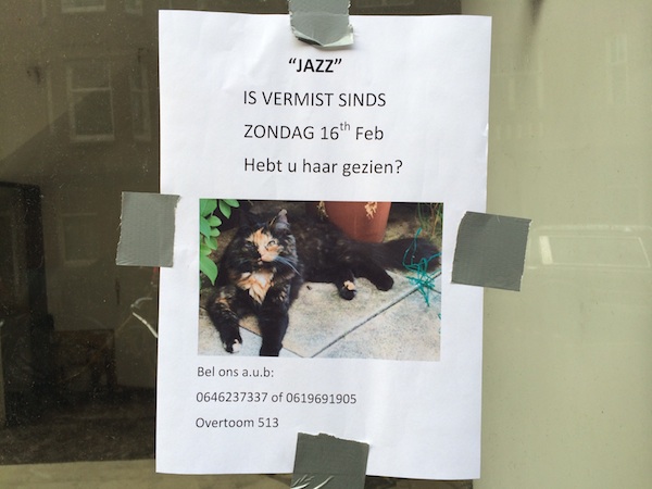 Jazz wordt vermist