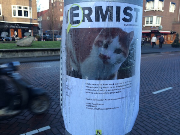 Vermist in de Rivierenbuurt