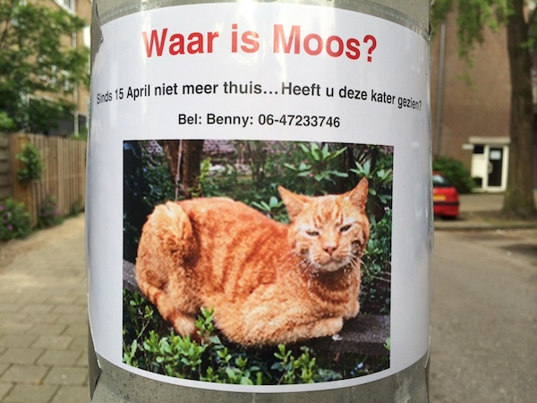 Waar is Moos?