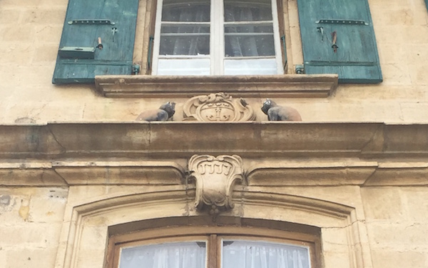 maisondeschats-detail