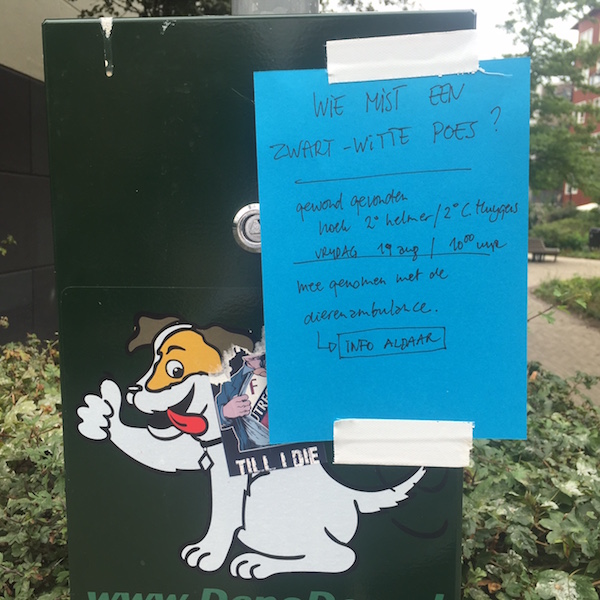 zwartwittepoes